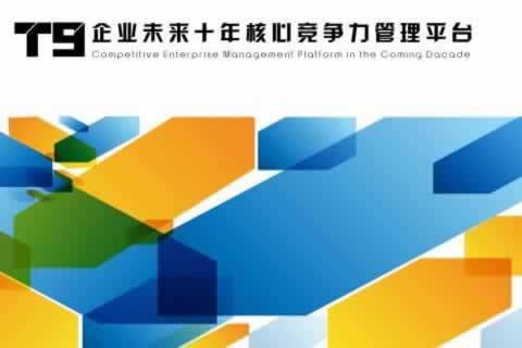 大中型企業(yè)應(yīng)用-T9